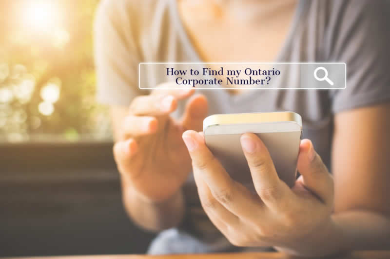 https://www.ontariobusinesscentral.ca/blog/wp-content/uploads/2019/12/finding-your-ontario-corporation-number.jpg
