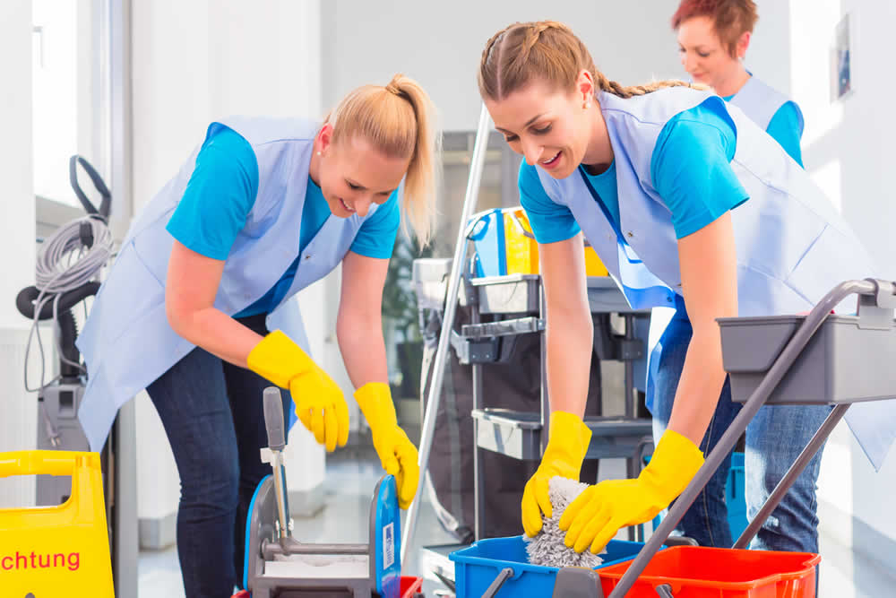 Cleaning Services In Edmonton
